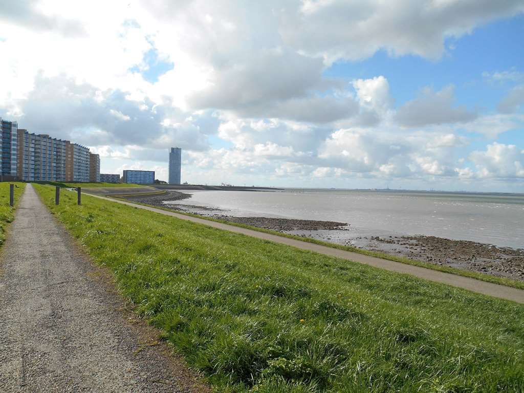 Hotel De Blaauwe Leeuw Terneuzen Exterior foto